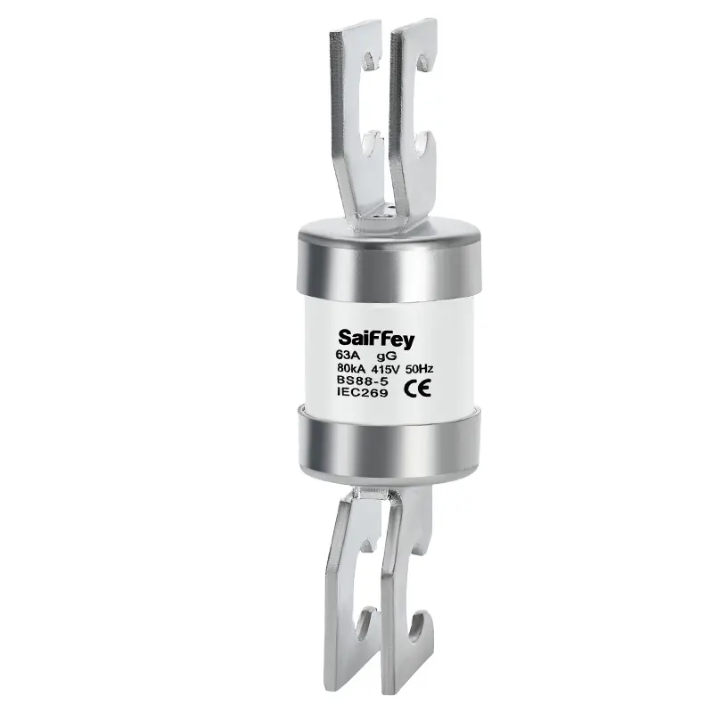 Saiffey RG8M 50KA 415/500V 63A J fusibile di protezione della corrente scanalato fusibile ceramico JPU HRC a bassa tensione