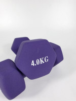 Ensemble d'haltères en ciment écologiques, revêtement vinyle antidérapant, réglables, durables, légers, pour la maison, la salle de sport, la remise en forme des femmes, le yoga