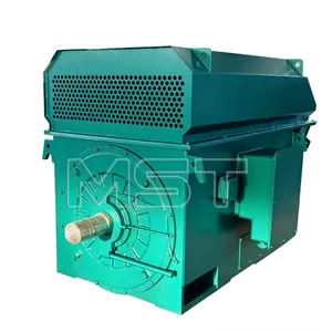 Industrial Motor 185kw-3150kw Soft Starter High Voltage Squirrel Cage Enclosed 3 Phase Asynchronous Industry Electric Motor