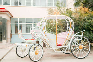 Chariot électrique en forme de citrouille à basse vitesse avec décorations LED pour défilés et séances photo dans les sites touristiques - Product Image 6