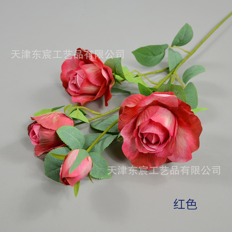 4 têtes de Rouge Rose (rouge)