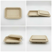 Hete Aanbieding Biologisch Afbreekbare Wegwerp Lunchbox 750ml Rechthoekig Suikerriet Bagasse Magnetronbestendig Recycleerbaar Voedselcontainer Passend