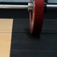 Plate-forme d'haltérophilie pour équipement de gymnastique robuste