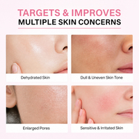 Masque Bio Formule Élastique OEM Hydratation Intense Végétalien à l'Acide Hyaluronique et au PDRN Rose pour Réduction des Rides et Amélioration de l'Élasticité de la Peau