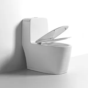 OYN Articles sanitaires en céramique Toilette monobloc de style occidental Cuvette de personnalisation pour hôtel, maison, salle de bain, toilette à laver