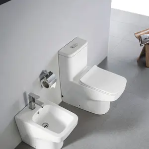 2022 Hot Sale Chinese Luxury Ceramic Siphonic One-piece Color Matt Color of Popular Back to wall one piece colour toilet fitting