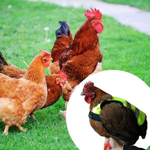 Chaleco de Seguridad Reflectante de Alta Visibilidad para Patos y Pollos, Ropa Protectora para Aves de Corral, para Animales de Granja al Aire Libre - Product Image 3