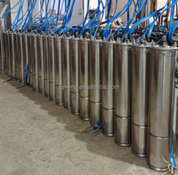 Pompe submersible 3HP 3SDM pour puits profond, prix usine, petite pompe pour eau de forage