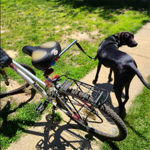 Guinzaglio per Cani Moderno e Personalizzato con Molla Retrattile per Bicicletta e Passeggio con Cintura di Trazione per Animali Domestici - Product Image 4