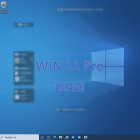 Lisensi Kunci Perangkat Lunak Versi Profesional Aktivasi Online Global Win 11 Pro - Jaringan & Server Asal Guangdong Stok GUA