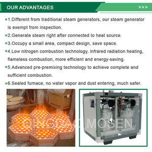 Chaudière commerciale à faible teneur en azote au gaz naturel/liquéfié pour le chauffage centralisé de l'immeuble de bureaux scolaires - Product Image 3