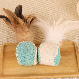 Juguete Natural de Luffa para Gatos con Plumas, Antiaburrimiento para Gatos, Juguete para Mascotas para Autoentretenimiento - Product Image 4