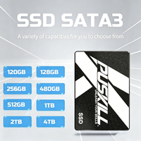 Unidad de Estado Sólido (SSD) SATA3 de 2.5 Pulgadas PUSKILL con Tecnología Anti-Vibración, Unidad Flash Estable para Computadoras de Oficina y Domésticas