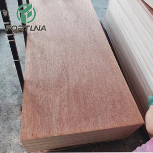 <span class=keywords><strong>Plaque</strong></span> <span class=keywords><strong>de</strong></span> <span class=keywords><strong>contreplaqué</strong></span> Bintangor E1 écologique moderne <span class=keywords><strong>de</strong></span> 2,5 mm, 3,2 mm, 4,5 mm, 5 mm - Product Image 3