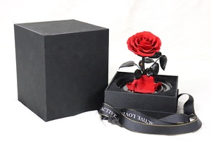 Ángeles rosas preservadas en cúpula de cristal regalo de San Valentín Flor de diente de león preservada - Product Image 2