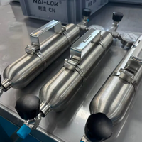 NAILOK SS316 High Pressure Gas Sampling Cylinder Seamless Double Ended Sample Cylinder 1 4 Female NPT Laboratory Sampling