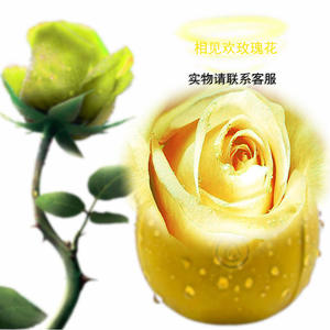 เครื่องนวดกระตุ้นอารมณ์สำหรับผู้หญิง Manshi Electronics รุ่น Rose Flower Vibrator สีชมพู ทำจากวัสดุ ABS และซิลิโคน กันน้ำ พร้อมคุณสมบัติการสั่นสะเทือน - Product Image 4