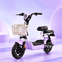 Sepeda Listrik 48V 12AH 14 Inci untuk Komuter Kota dengan Keranjang, Kursi Ganda, Pedal Assist, Baterai Lepas Pasang untuk Dewasa