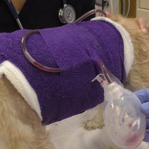 Kuras silikon tipe Jackson-pratt - Product Image 4