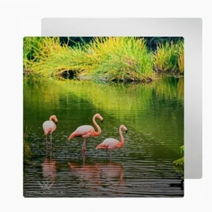 Bán buôn tấm nhôm in thăng hoa 12 x 8 inch, tấm kim loại trắng bóng, tấm in ảnh nhôm trắng trơn - Product Image 3