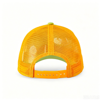 Casquettes de camionneur personnalisées de haute qualité en velours suédé brodé sur mesure pour femme