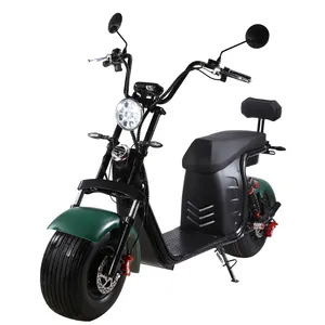 Newest electric scooter 1500w/2000w electric motorcycle City Off Road Electric Scooter