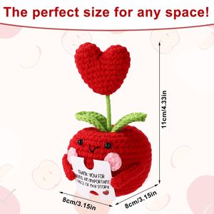 Pomme en Crochet Faite Main Positive avec Cœur – Poupée de Soutien Émotionnel et Positif avec Carte de Message – Cadeau Motivationnel et Décoration - Product Image 5
