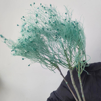 Fleurs séchées en gros de Cotinus (Arbre du Fumée) à plumes soyeuses et préservées pour la décoration de centre de table de mariage bohème