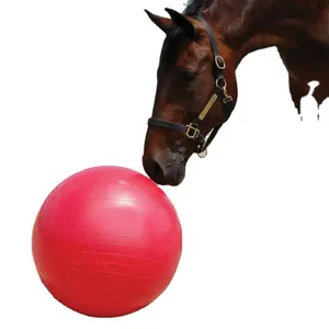 Anti-Burst caballo gigante jugar bola de formación