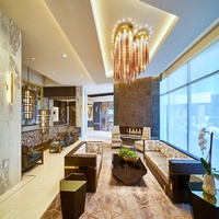 Tapis de luxe en laine tuftée à la main, noir magique, moderne, écologique, pour hall d'hôtel, réception, salon, tapis de qualité supérieure
