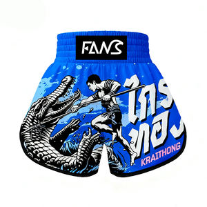 مخصص بالجملة ركلة الملاكمة شورت Mma مع الشقوق معركة عاطفي - Product Image 6