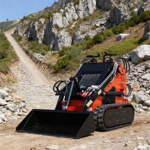 Mini chargeuse sur chenilles à vente chaude, diesel, 0,6 tonne, petite chargeuse, personnalisation possible, livraison gratuite - Product Image 4