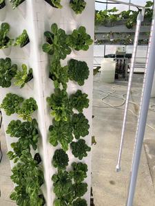 Kit de culture verticale pour jardin à la maison système aéroponique de jardin tour systèmes de culture hydroponique aéroponique bricolage - Product Image 5