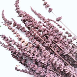 <span class=keywords><strong>Fleurs</strong></span> fraîches naturelles <span class=keywords><strong>immortelles</strong></span> conservées, bouquets de lavande sèche, fleur de lavande séchée pour bouquet de <span class=keywords><strong>fleurs</strong></span> diy, décoration d'événements pour la maison - Product Image 4