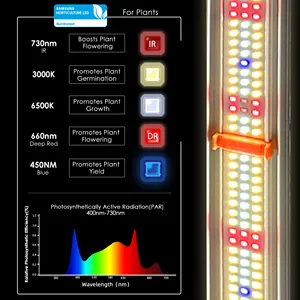 ที่ดีที่สุดเต็มสเปกตรัม Uv Ir 600w 720w 800w 1000w เติบโตแสง Led 8 บาร์หรี่แสงได้ Samsung Lm301b Lm301h ในร่มพืช Led เติบโตแสง