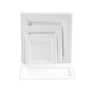 Square Biodegradable Paper Plate 68-10 Inch For Picnic And Barbecue <b>Disposable</b> <b>Tableware</b> - Product Image 2