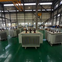 Transformador de Distribución Trifásico de Dos Bobinados Sumergido en Aceite Serie S20-M-30 Rainbow 10.5 KV / 10 KV 400 V 50 Hz