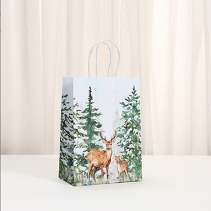 Bán buôn giáng sinh Đảng thông nón in Kraft Túi Quà Tặng giấy cho Takeaway cho túi xách cho trung tâm mua sắm sử dụng - Product Image 4