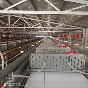 3 Tier H Type Fully Automatic Iron Chicken Broiler Cage System New Condition Poultry <strong>Farming</strong> <strong>Quail</strong> Bird Animal Cages QM YC-65 - Product Image 6