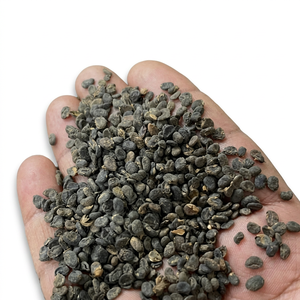 เมล็ดบาวานชี (Psoralea Corylifolia) สารสกัดจากสมุนไพรบาบชีธรรมชาติจากอินเดีย ราคาขายส่ง - Product Image 1