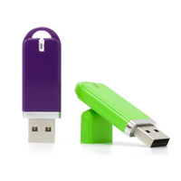 Clé USB OEM en plastique 4G, clé USB bon marché 32 Go, porte-clés, disque flash 2.0, clé USB 3.0 1 Go, personnalisation en plusieurs couleurs