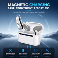 Offre Spéciale : Amplificateur Auditif Numérique Rechargeable BTE 16 Canaux avec Contrôle par Application, Design Élégant pour Personnes Âgées - Fournisseur en Gros
