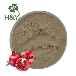 Factory Outlet High Quality Spray Dried Red Pomegranate Fruit Powder Pomegranate Powder