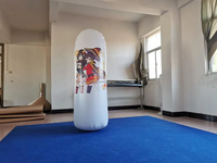 Oreiller gonflable en PVC Beile 2026 populaire, personnalisable avec des motifs pour adultes SPH