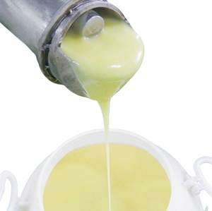 <span class=keywords><strong>Gelée</strong></span> <span class=keywords><strong>royale</strong></span> fraîche de haute <span class=keywords><strong>qualité</strong></span> - Product Image 1