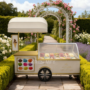 Kiosque mobile de rue standard européen, résistant à la rouille, pour la vente de nourriture rapide, chariot à glaces roulées avec congélateur - Product Image 1