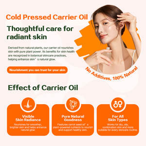 China Supply OEM ODM Hagebutten mandel Jojoba Avocado Argan Trauben kernöl Bulk für Gesicht & <span class=keywords><strong>Massage</strong></span> Bio kalt gepresstes Träger öl - Product Image 4