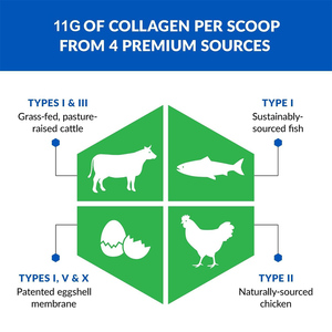 OEM/ODM High <b>Protein</b> Muscle & Tendon Support Skin elasticity & firmness low Calorie low fat multi collagen peptide powder - Product Image 4