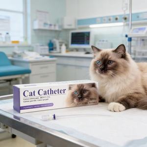 Toptan Özelleştirilmiş Boyutta Kedi Üriner Kateteri Veteriner Kateteri Tek Kullanımlık Evcil Hayvan İdrar Kateteri - Product Image 3