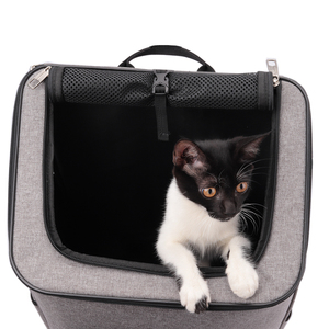 Fermuar kapatma ile yavru çanta evcil hayvan sırt çantası büyük kapasiteli taşınabilir omuz destekli kediler köpekler taşıyıcı için tasarım - Product Image 4